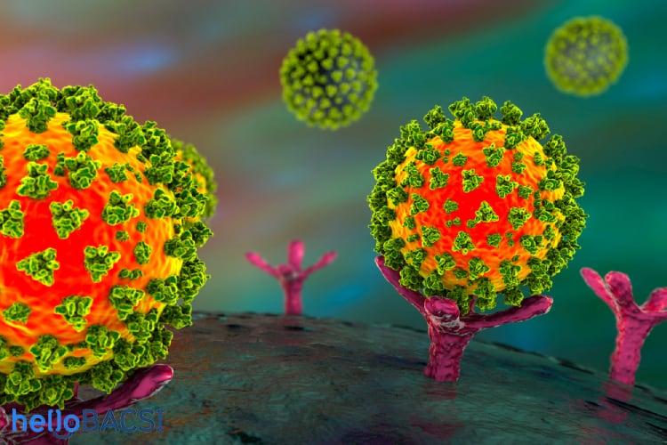Vì sao virus SARS-CoV-2 dễ lây thành dịch COVID-19?
