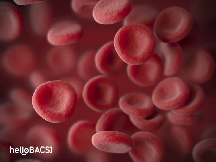 Định lượng hemoglobin huyết thanh