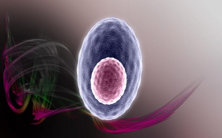 Bệnh bạch cầu mãn tính dòng tủy