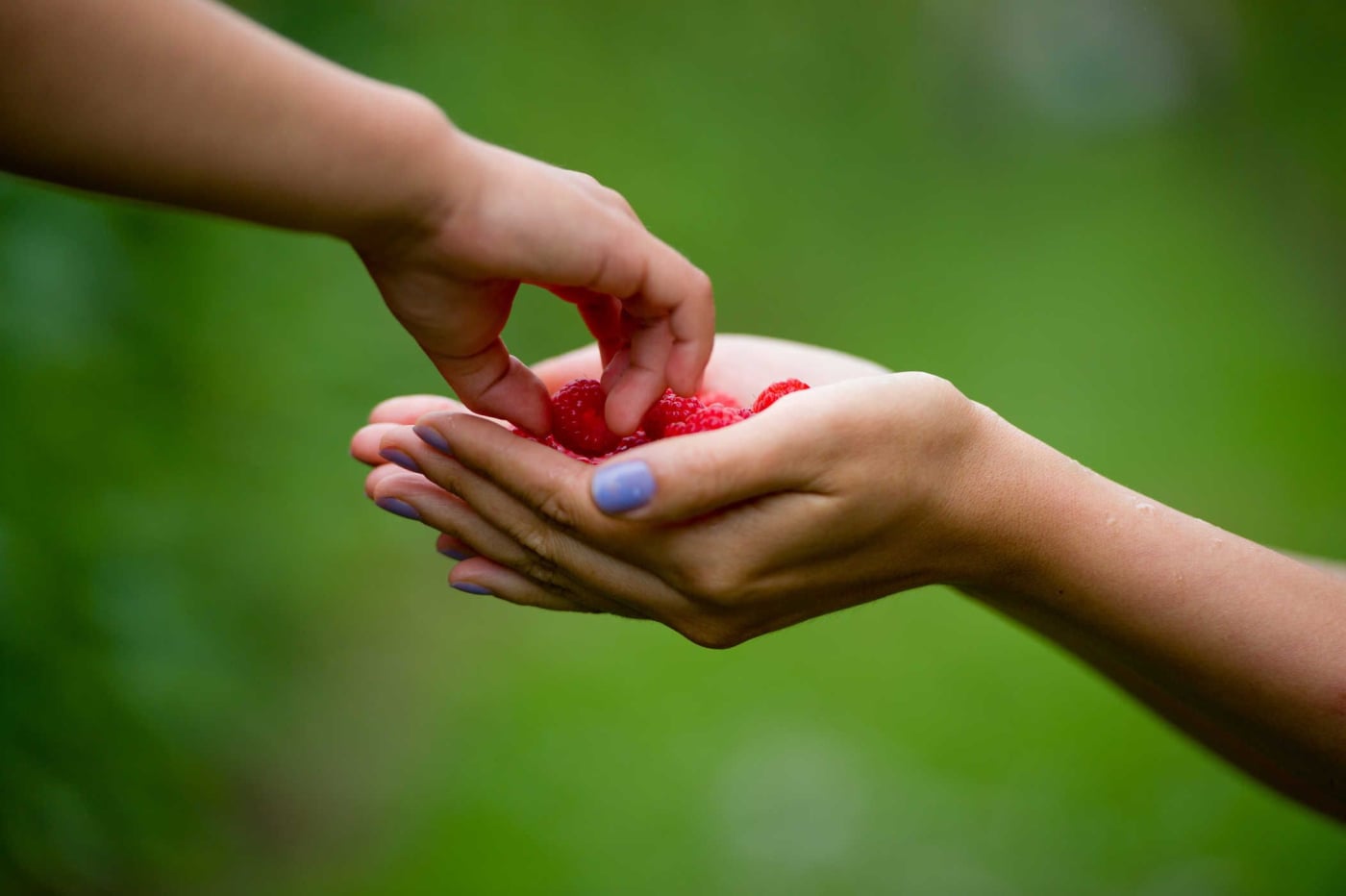 Chọn trái cây nào khi bé mới lần đầu ăn?