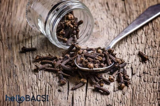 Cây đinh hương và 20 công dụng chữa bệnh tuyệt vời