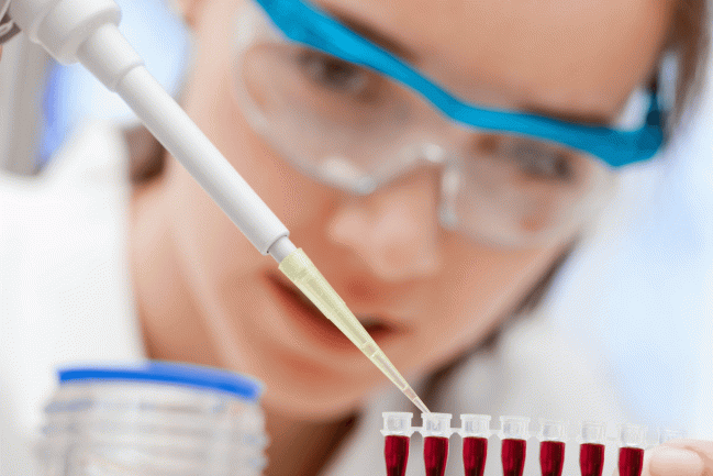 Ảnh hưởng của tình trạng kháng insulin