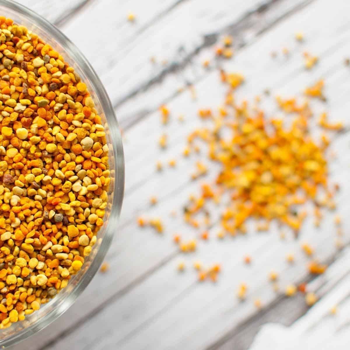 Phấn ong (Phấn hoa ong mật) và 12 lợi ích bạn không nên bỏ qua