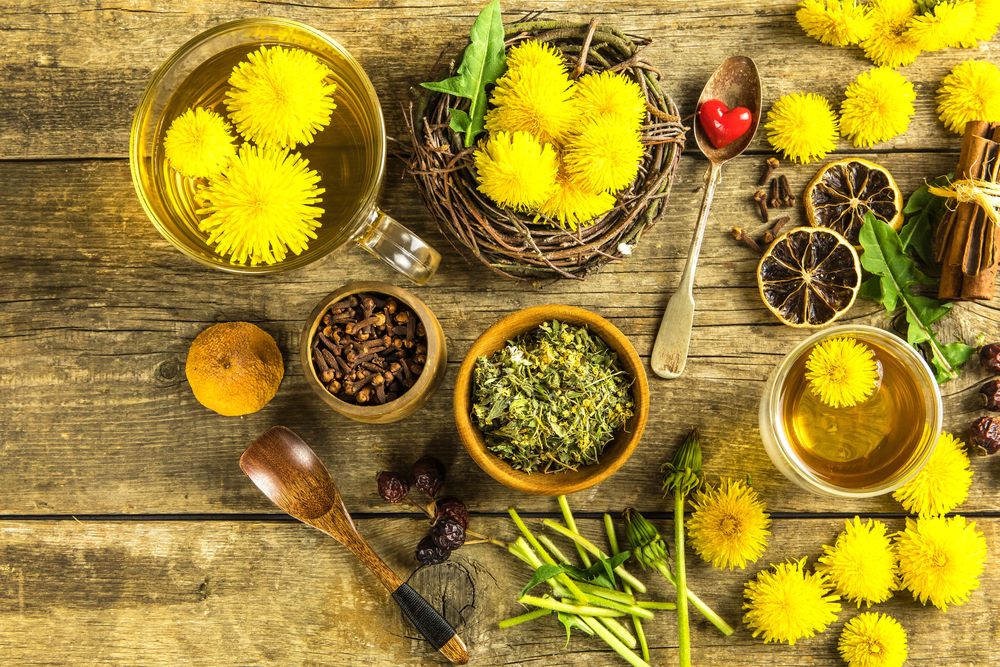 Tác dụng của cây bồ công anh: "Thần dược" trong loài cây mọc dại