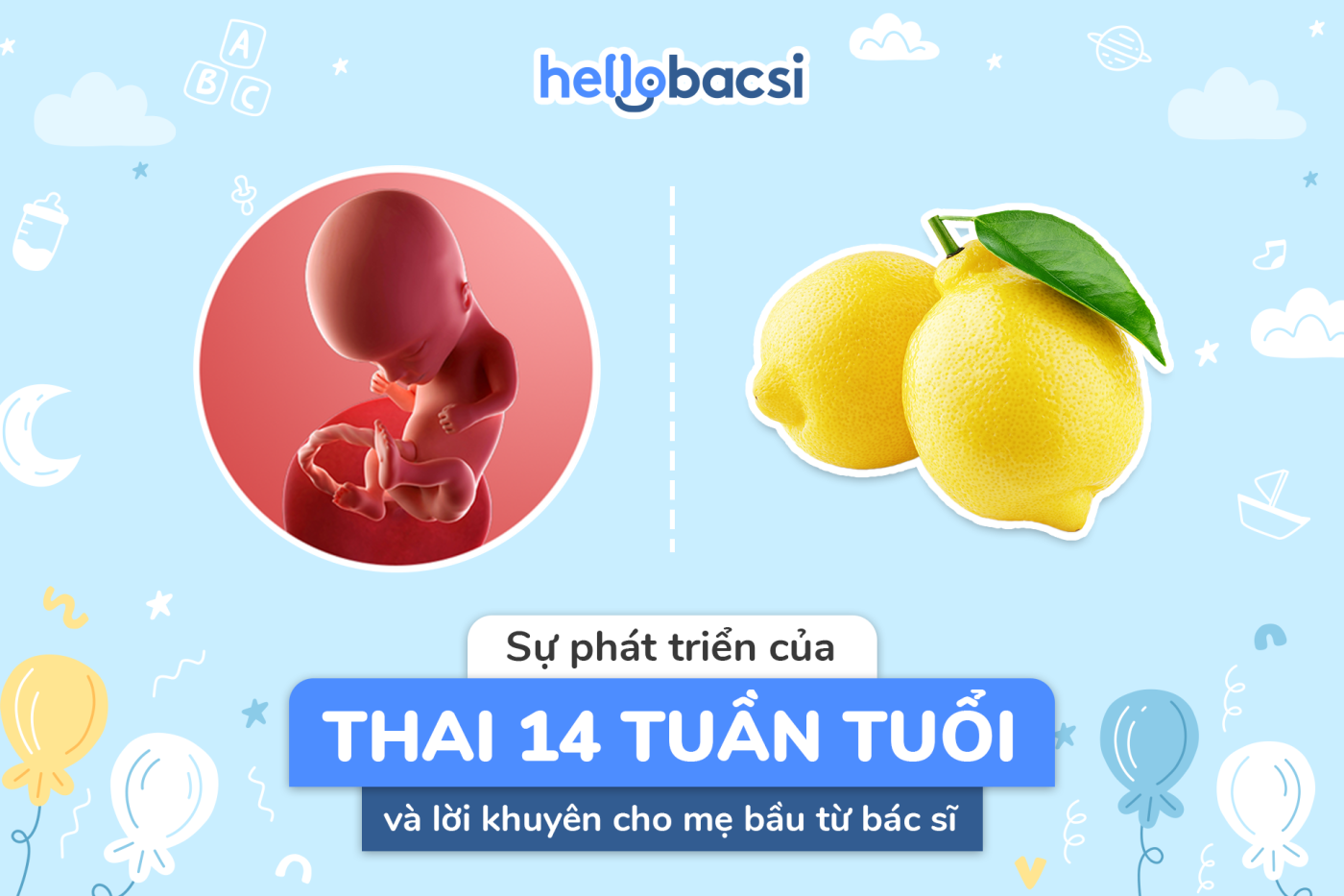 Thai nhi 14 tuần tuổi: Sự phát triển của bé và những thay đổi ở mẹ bầu