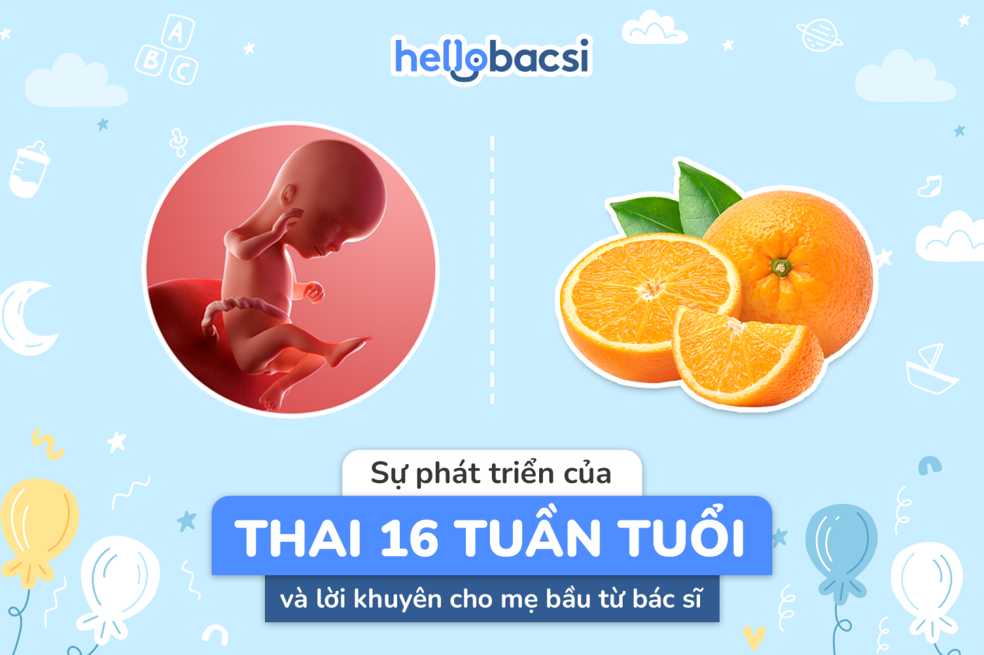 Thai 16 tuần phát triển như thế nào trong bụng của mẹ bầu?