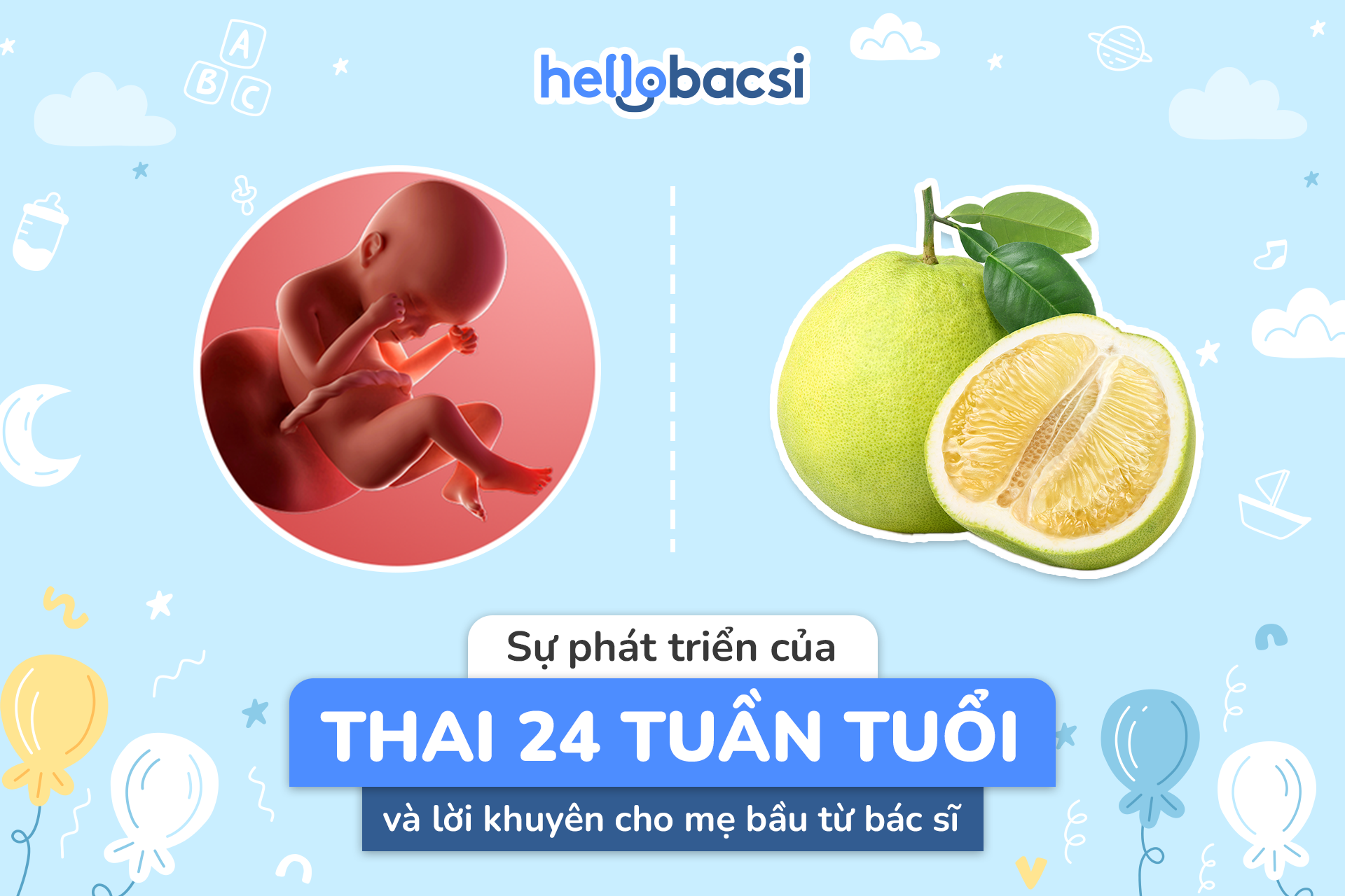 Thai 24 tuần tuổi phát triển như thế nào, nặng bao nhiêu?