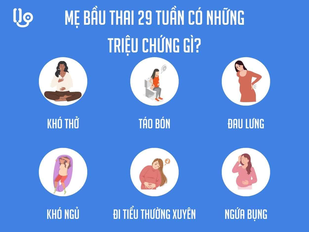thai nhi 29 tuần
