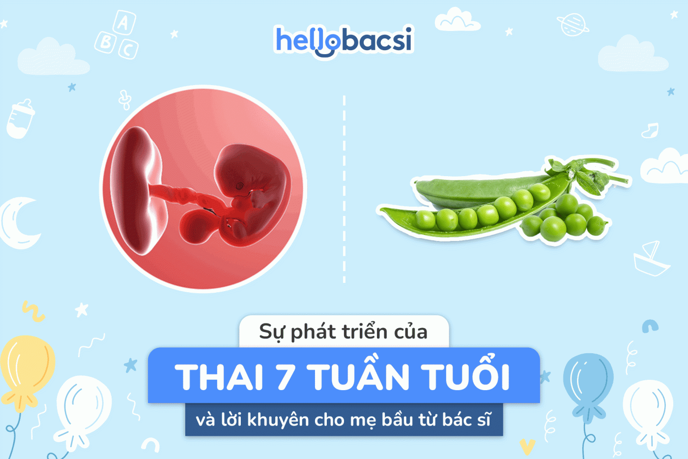 Thai 7 tuần phát triển như thế nào và cơ thể của mẹ bầu thay đổi ra sao?