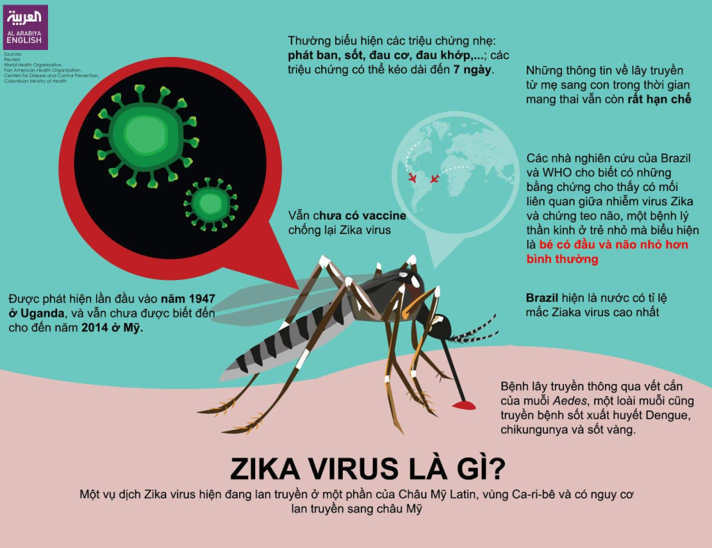 virus Zika muỗi