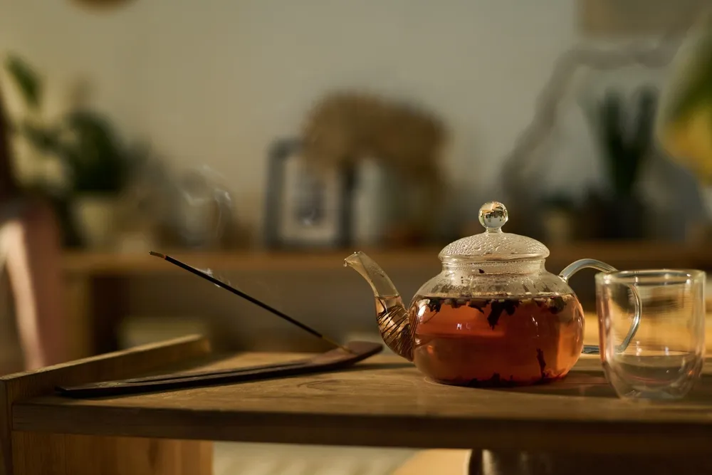 trà dây thìa canh chữa bệnh tiểu đường