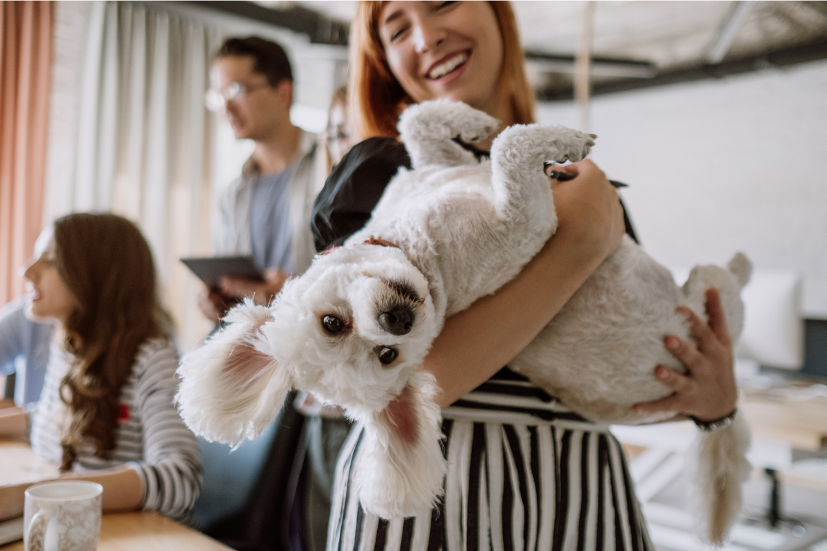 9 lợi ích tuyệt vời của việc nuôi thú cưng tại nhà