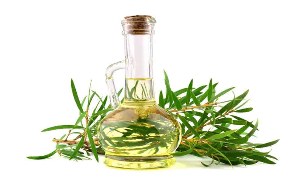 tinh dầu và điều trị nấm âm đạo hay điều trị viêm âm đạo do nấm