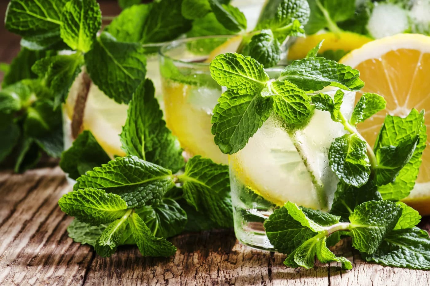 Bạc hà và những lợi ích dinh dưỡng bất ngờ