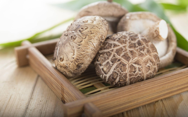 Lợi ích của nấm đông cô đối với sức khỏe bé yêu