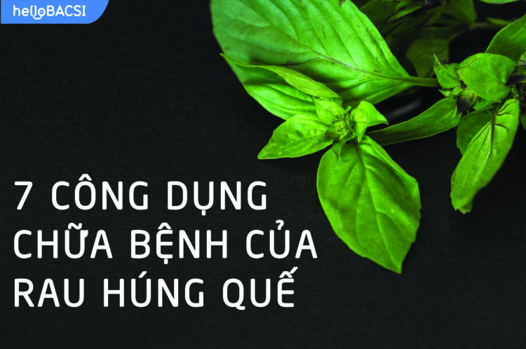 7 tác dụng thần kỳ của rau húng quế