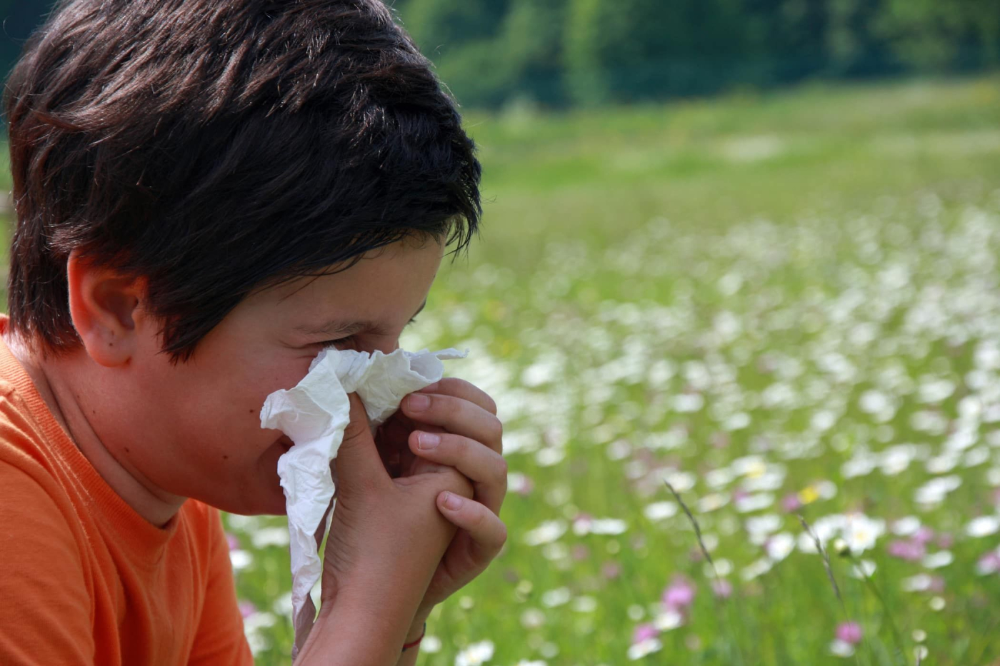 Bố mẹ cần phải làm gì khi con bị viêm xoang?