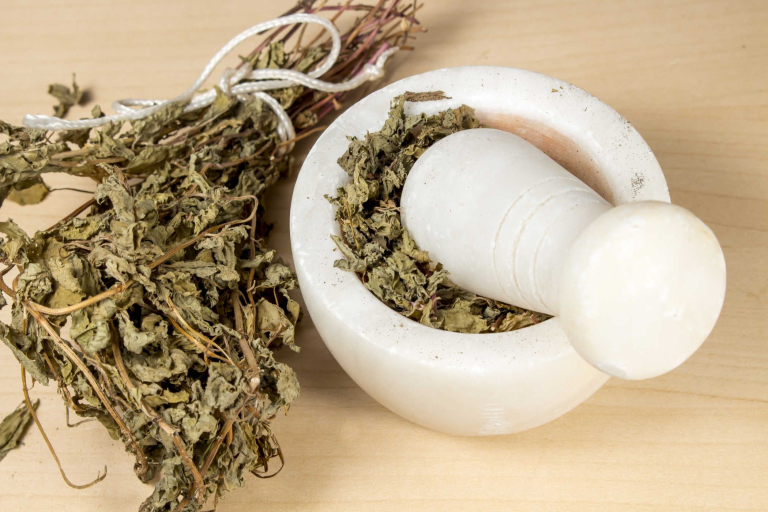 cách tránh thai an toàn tự nhiên bằng cây bạc hà hăng