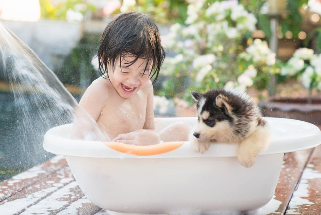 Nuôi thú cưng có thể phòng tránh bệnh hen suyễn cho trẻ?