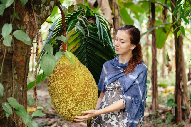 Mít đối với bà bầu lợi hay hại? Bà bầu ăn mít có tốt không?