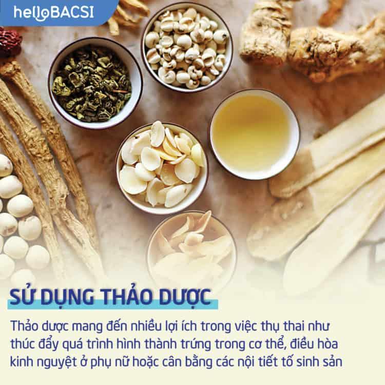 Dùng thảo dược để dễ thụ thai