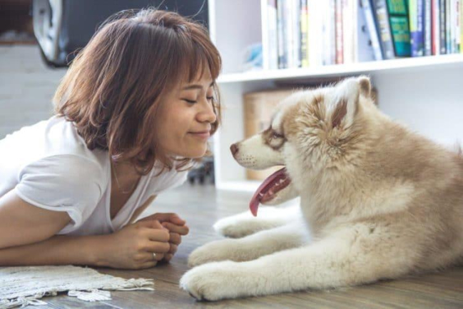 Giải mã hành động liếm của cún cưng