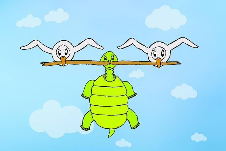 câu chuyện ngỗng và rùa