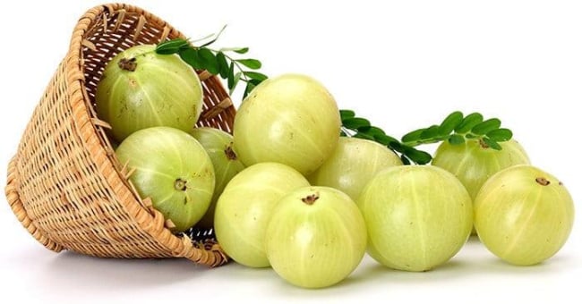 Quả lý gai Ấn Độ
