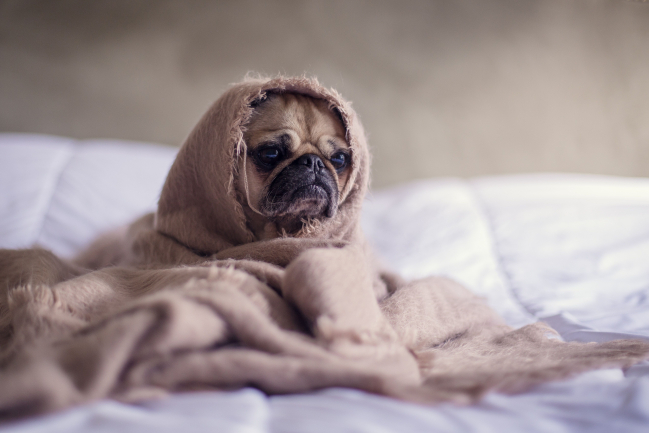 Stress ảnh hưởng đến làn da như thế nào?