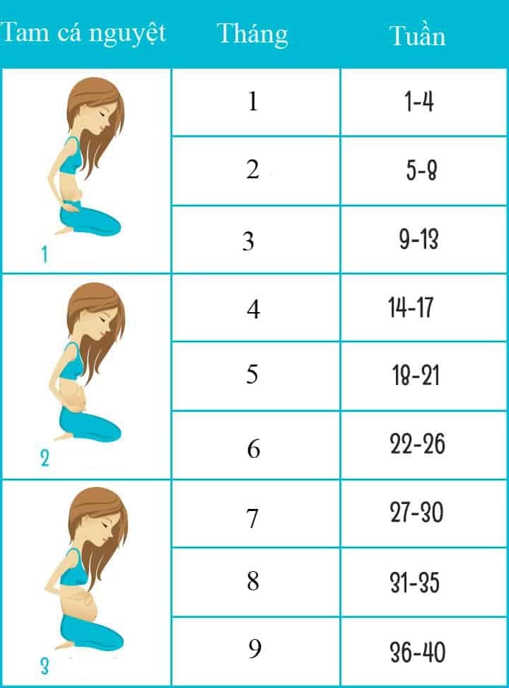 30-weeks-how-many-months-chart-ponasa