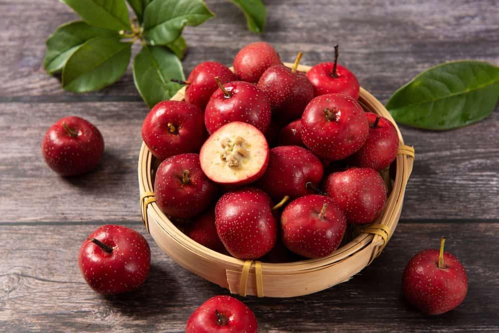 Quả sơn trà: dược liệu có lợi ích tuyệt vời cho sức khỏe