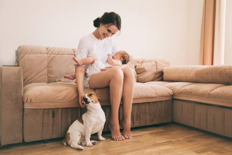 5 hiểu lầm về việc an toàn và không an toàn khi cho con bú