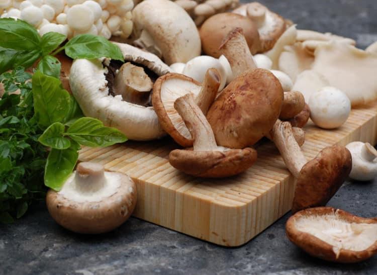 4 tác hại của nấm hương bạn nên biết để phòng tránh