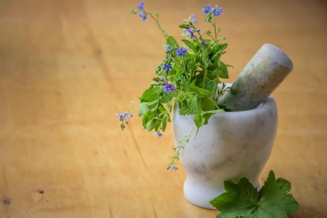 10 mẹo giúp chữa trị u xơ tử cung bằng phương pháp dân gian