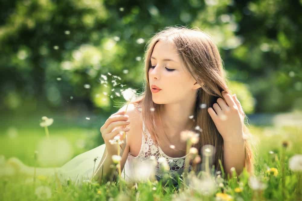 Cây bồ công anh có tác dụng gì và cách nấu nước lá để dùng