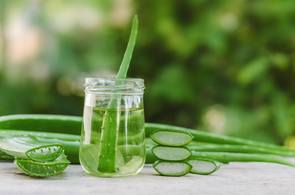 Cùng đi tìm lời giải cho câu hỏi bà bầu ăn nha đam được không