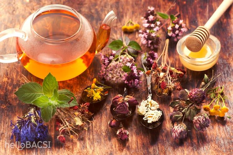 Mách bạn phương thuốc phục hồi sau tai biến mạch máu não