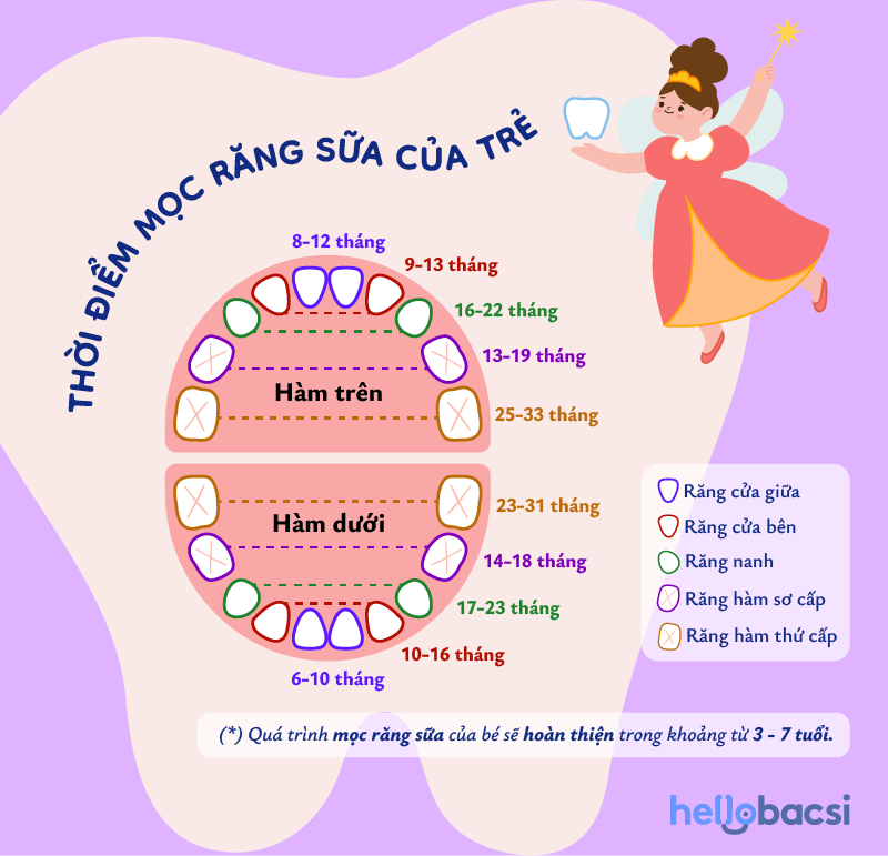 thời điểm mọc răng của trẻ