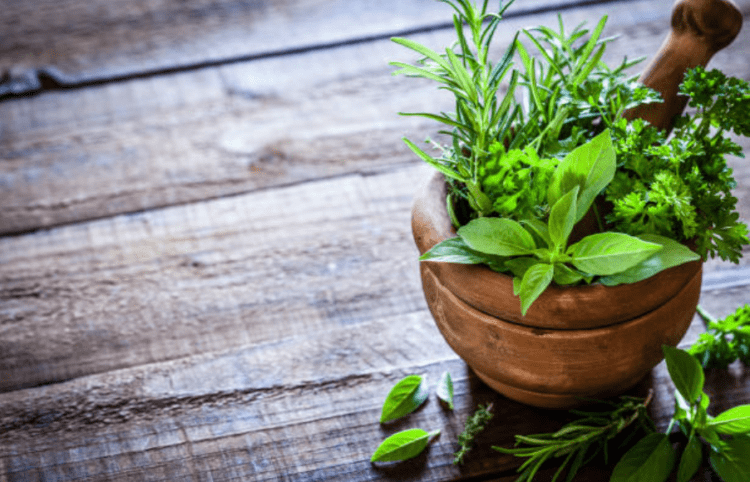 Thuốc nam chữa bệnh suy tim: Vàng thau lẫn lộn, làm sao chọn đúng?