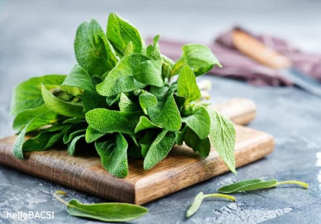 Cây xô thơm: Loại thảo dược quý giúp bạn cải thiện sức khỏe