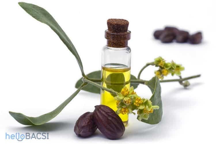 Mách bạn bí quyết dùng dầu jojoba trị mụn