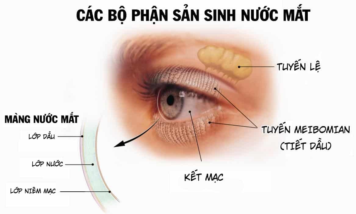 Chữa khô mắt 1