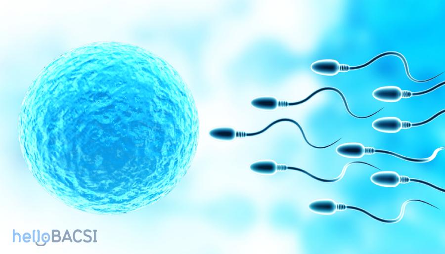 Bạn biết gì về trữ đông tinh trùng?
