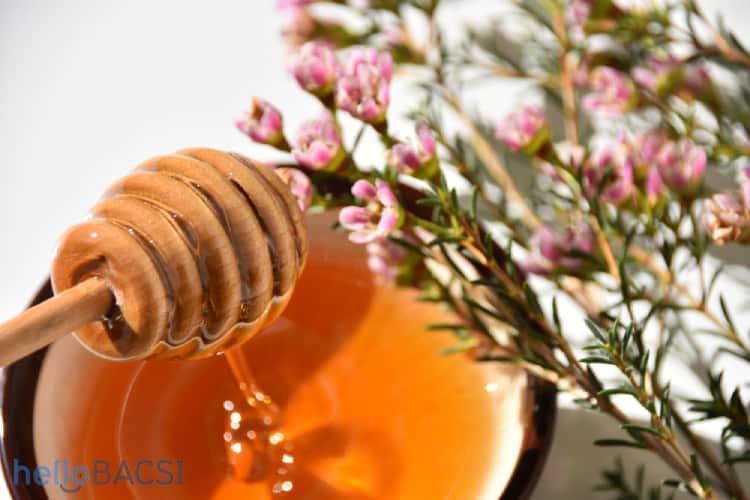 Mật ong manuka: Nguồn dinh dưỡng quý giá không thể bỏ qua