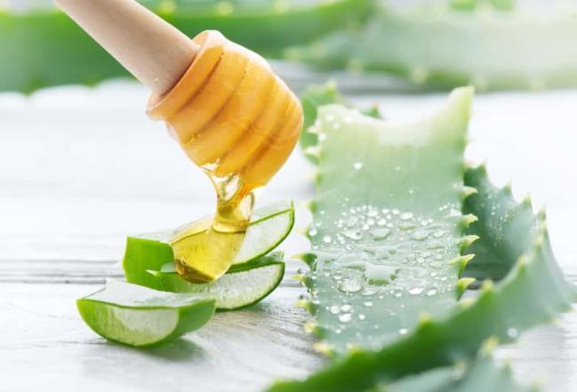Bị bỏng nên làm gì cho hết rát? TOP 8 cách trị bỏng hiệu quả tại nhà