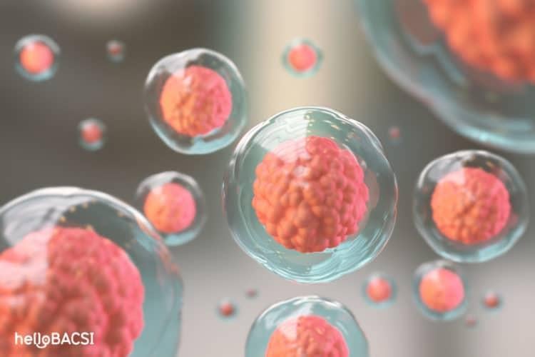 Tế bào gốc: Công nghệ đột phá trong y học hiện đại