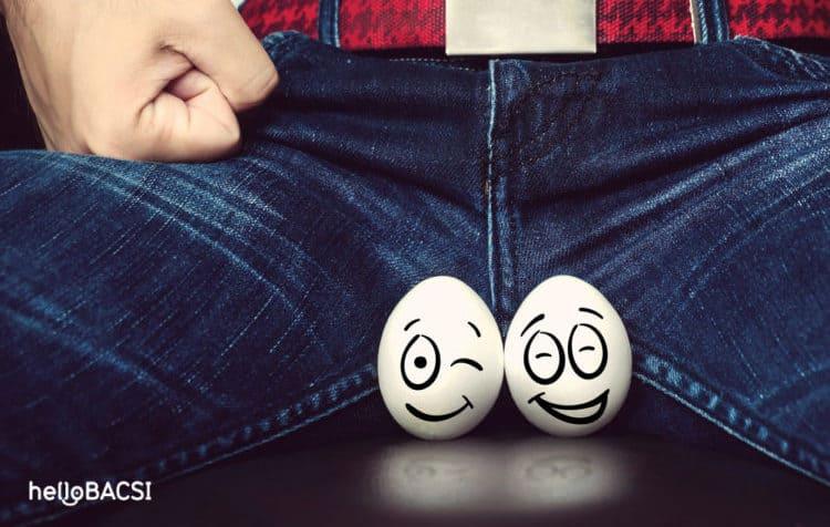 9 điều thú vị về tinh hoàn nam giới