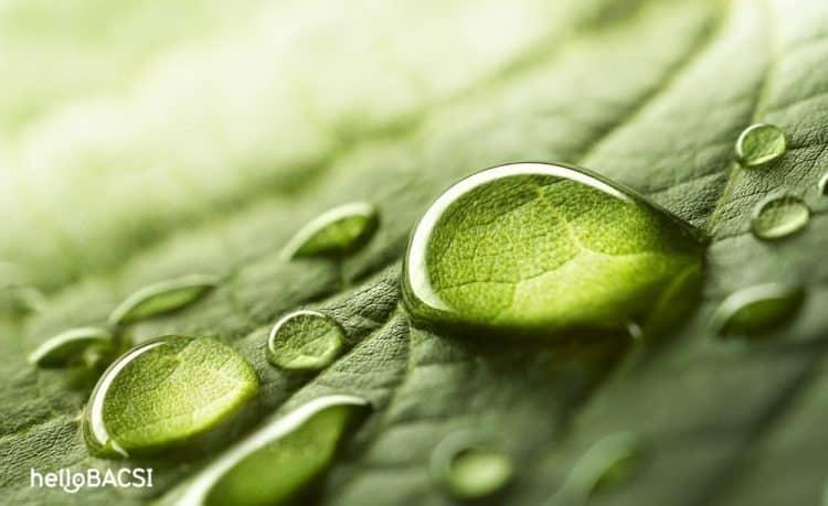 Nổi mề đay do nước, có nguy hiểm không? Làm thế nào để kiểm soát?