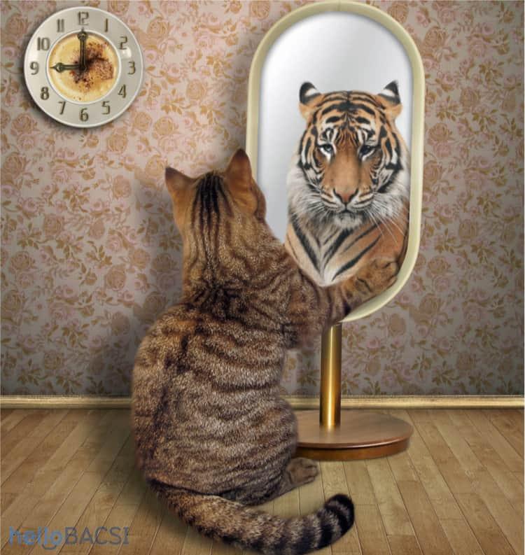 Bạn biết gì về bệnh hoang tưởng tự cao?