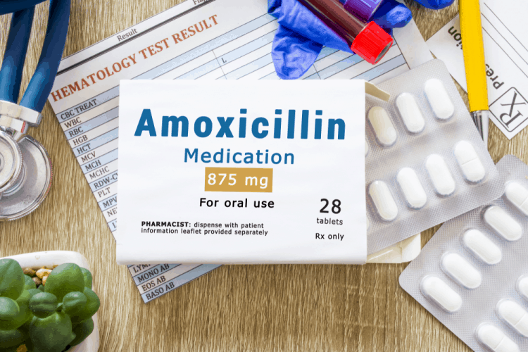 Giải đáp thắc mắc: Bị nổi mẩn do dị ứng amoxicillin cần làm gì?